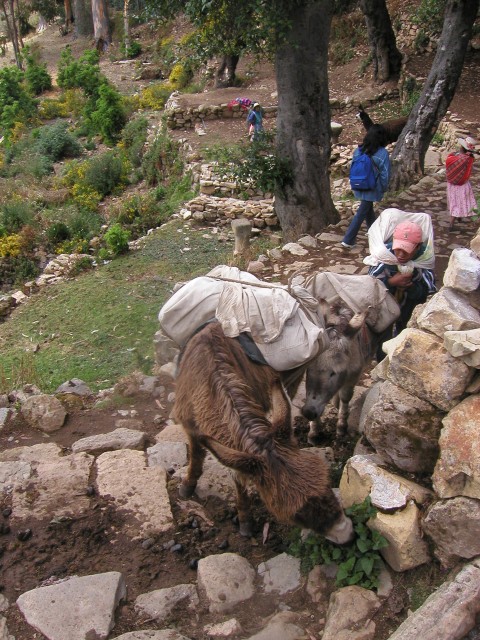 P1010138.JPG