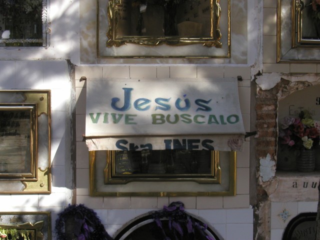 P1010059.JPG