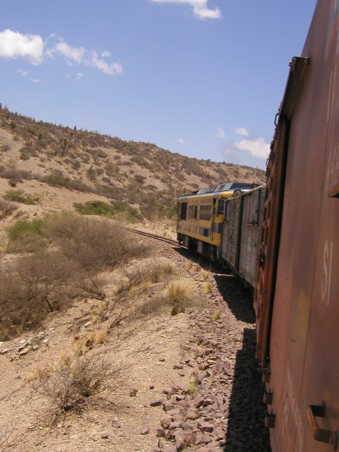 P1010114.JPG