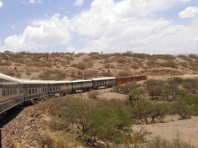P1010115.JPG
