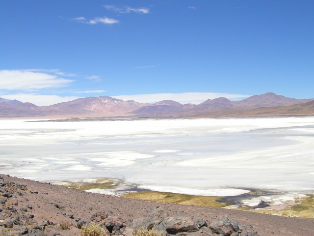 P1010057.JPG