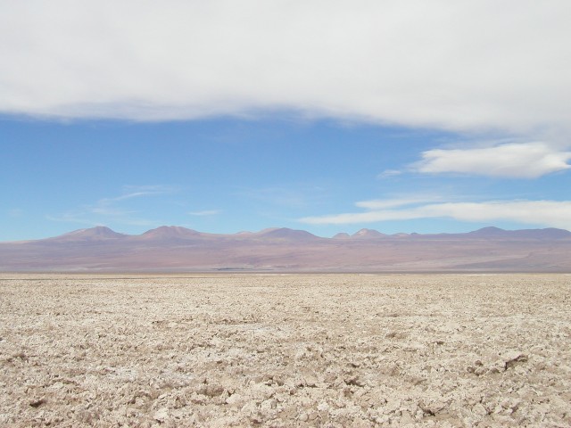 P1010090.JPG