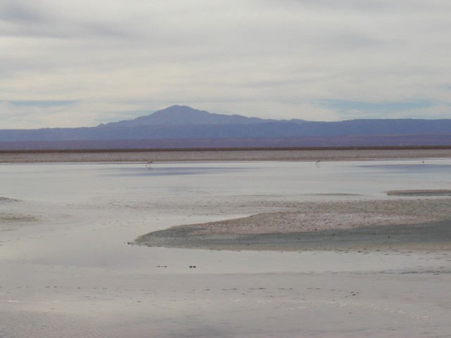 P1010093.JPG