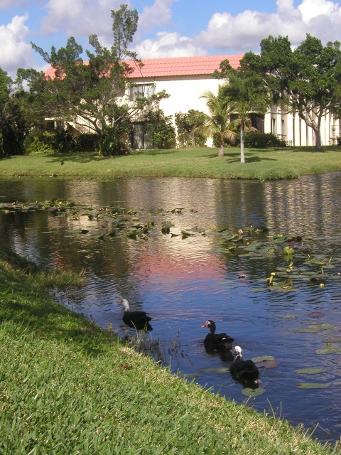 P1010007.JPG