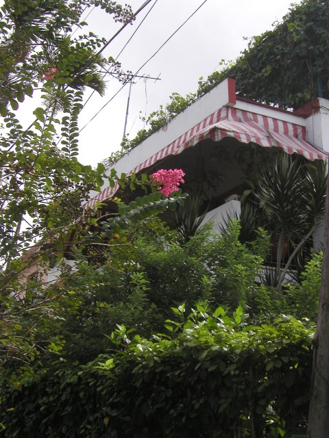 P1010118.JPG