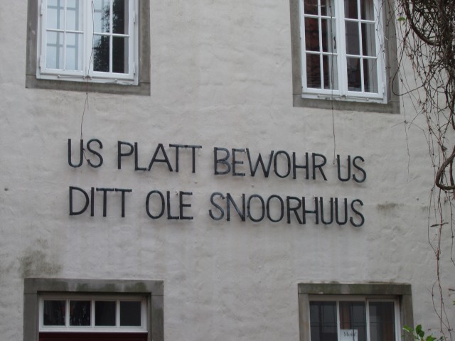 P1010008.JPG