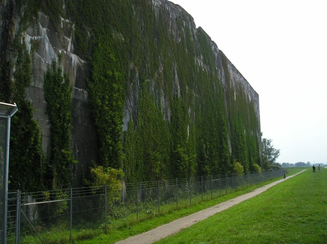 p1011198.jpg
