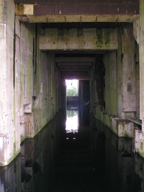 p1011201.jpg