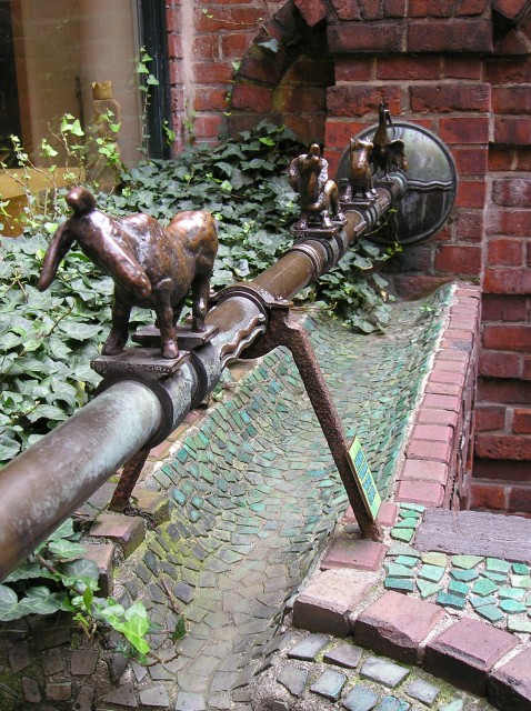 p1011233.jpg