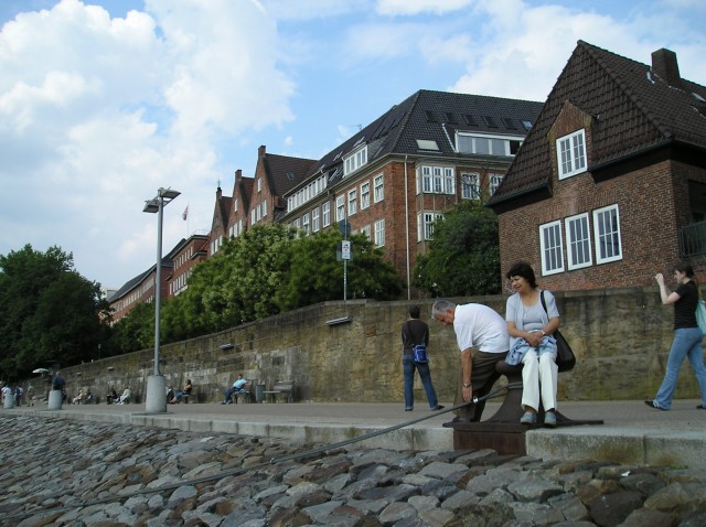 p1011238.jpg