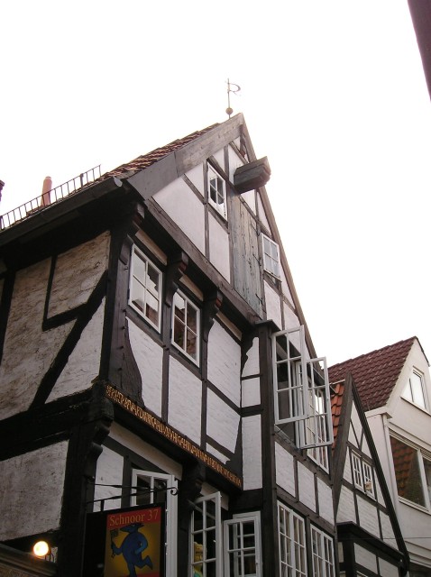 p1011248.jpg