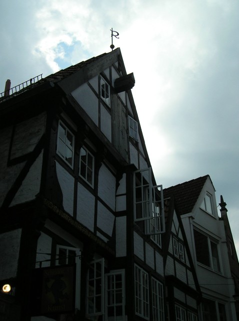 p1011249.jpg
