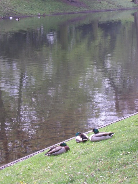 p1010072.jpg