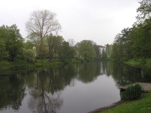 p1010075.jpg