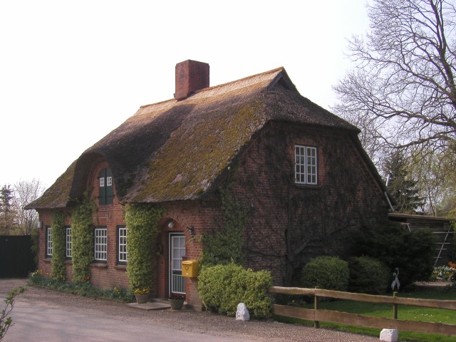 p1010157.jpg