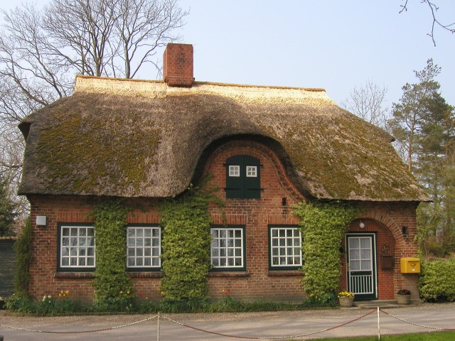 zp1010001.jpg