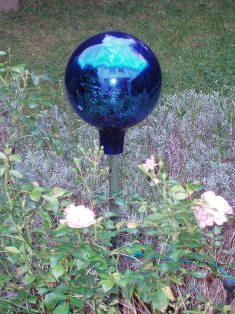 p1010006.jpg