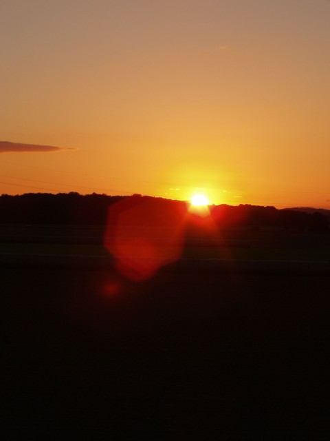 p1010032.jpg