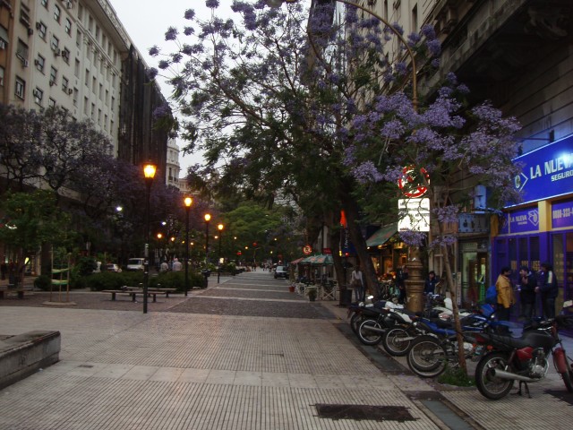 P1010038.JPG