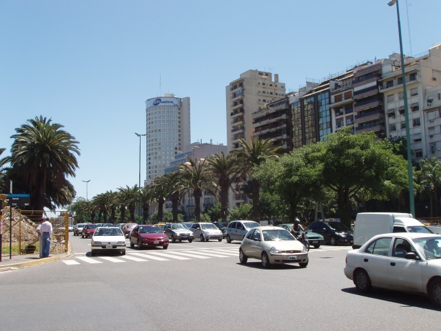 S1010041.JPG