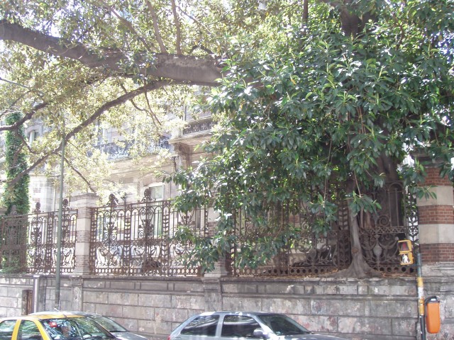 S1010046.JPG