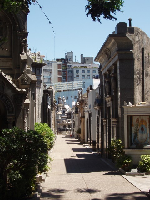 S1010058.JPG