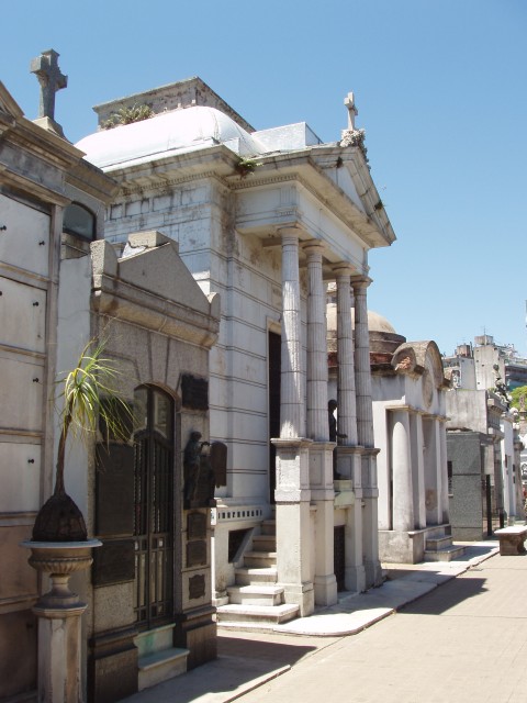 S1010059.JPG