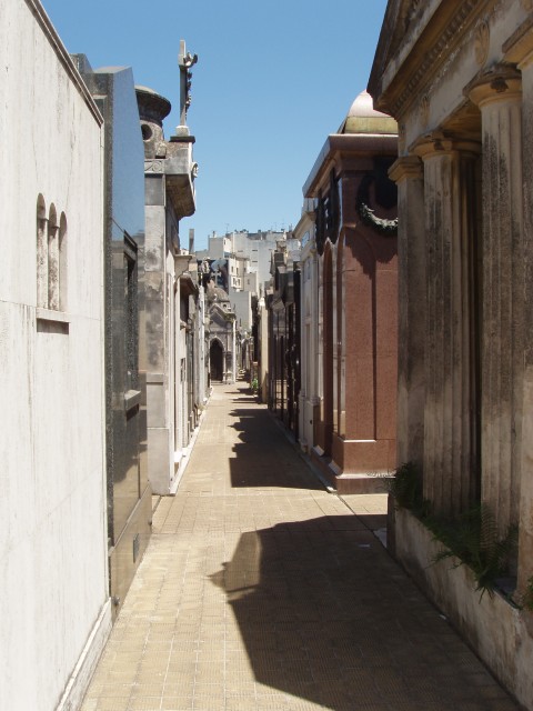 S1010060.JPG