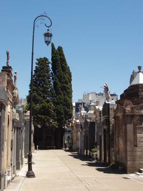 S1010063.JPG