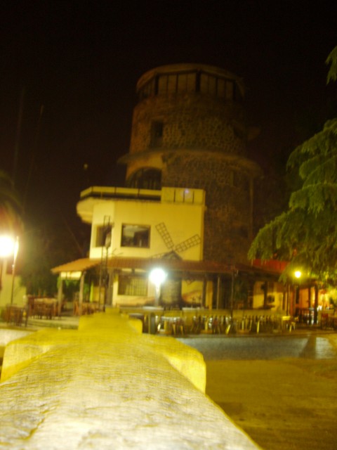 P1010384.JPG