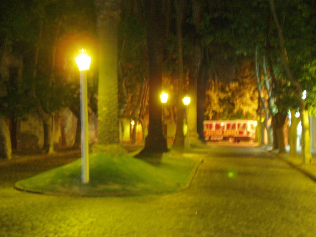 P1010387.JPG