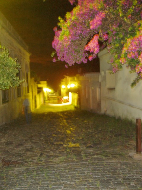 P1010393.JPG
