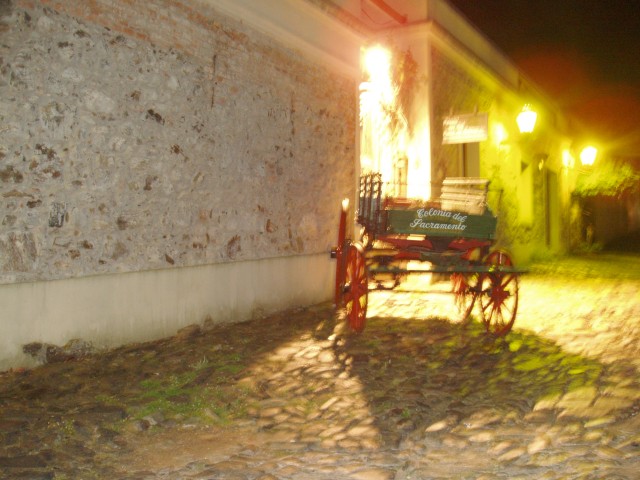 P1010398.JPG
