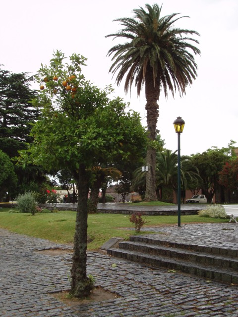 P1010405.JPG