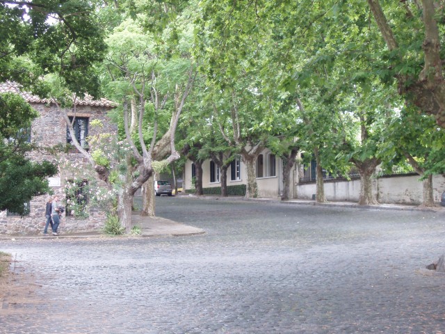 P1010406.JPG
