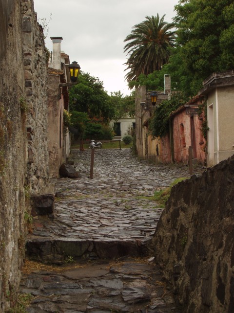 P1010409.JPG