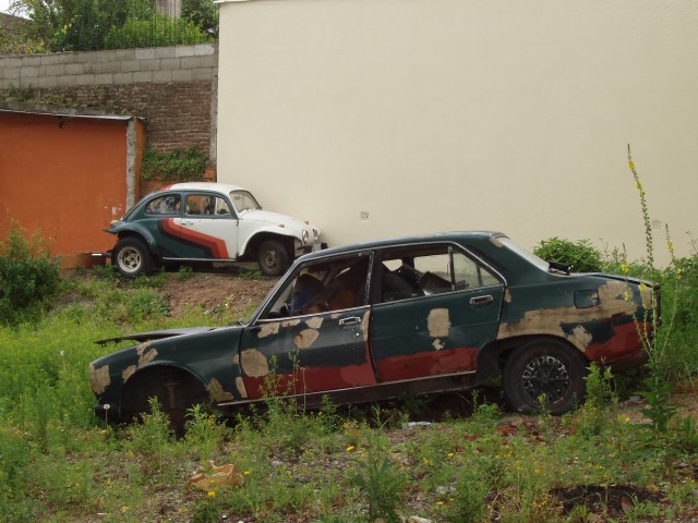 P1010412.JPG