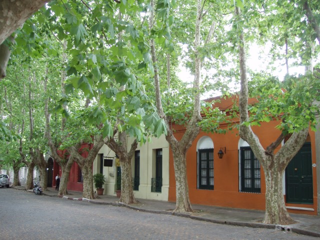 P1010413.JPG