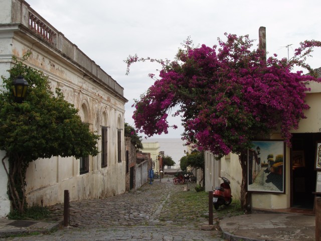 P1010415.JPG