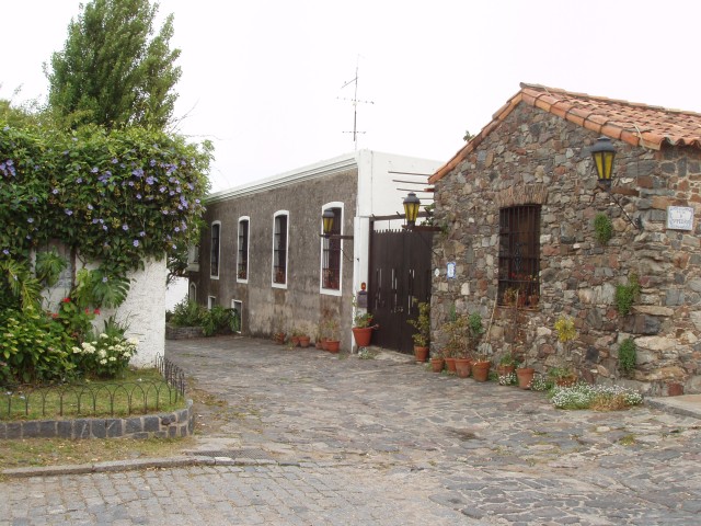 S1010004.JPG