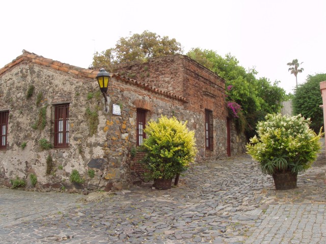 S1010005.JPG