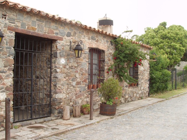 S1010006.JPG