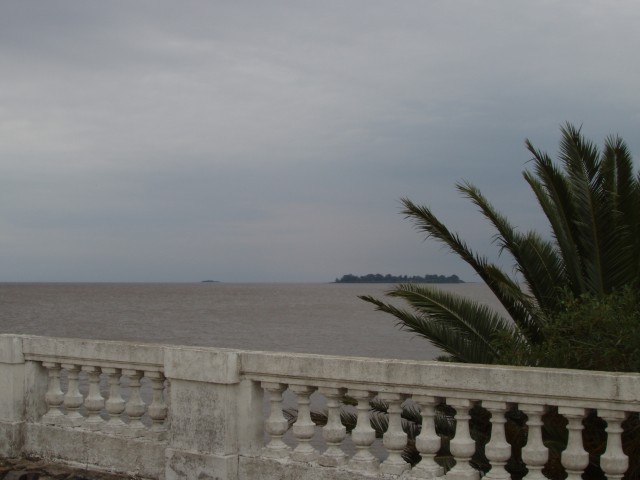 S1010007.JPG