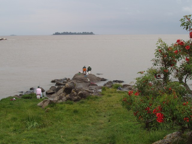 S1010008.JPG