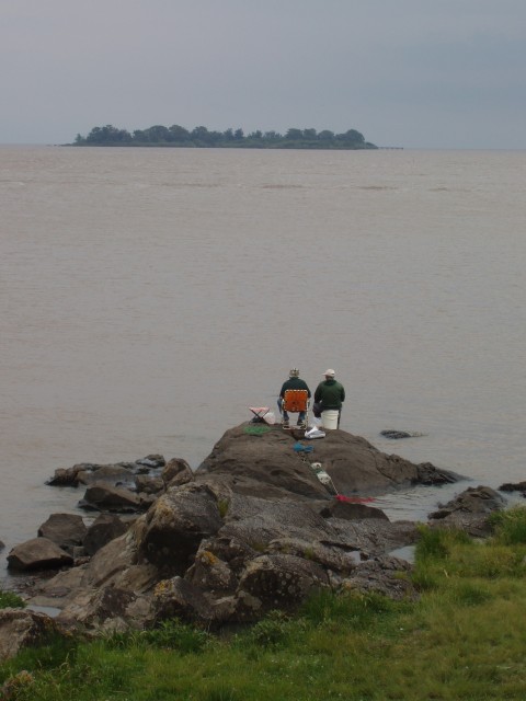 S1010009.JPG