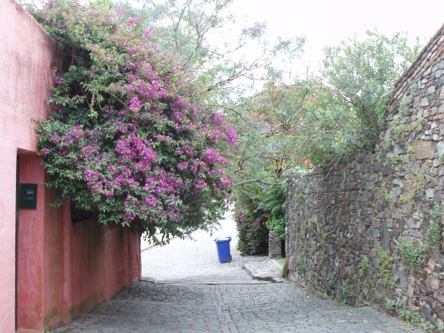 S1010012.JPG