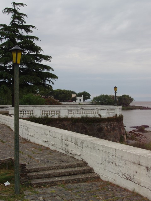 S1010014.JPG
