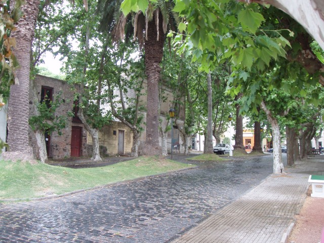 S1010028.JPG