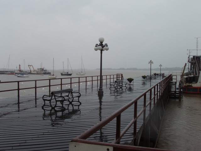 S1010030.JPG