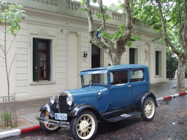 S1010031.JPG